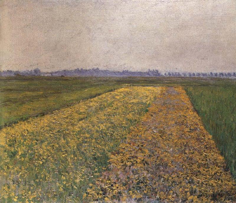 Gustave Caillebotte Yellow field Norge oil painting art